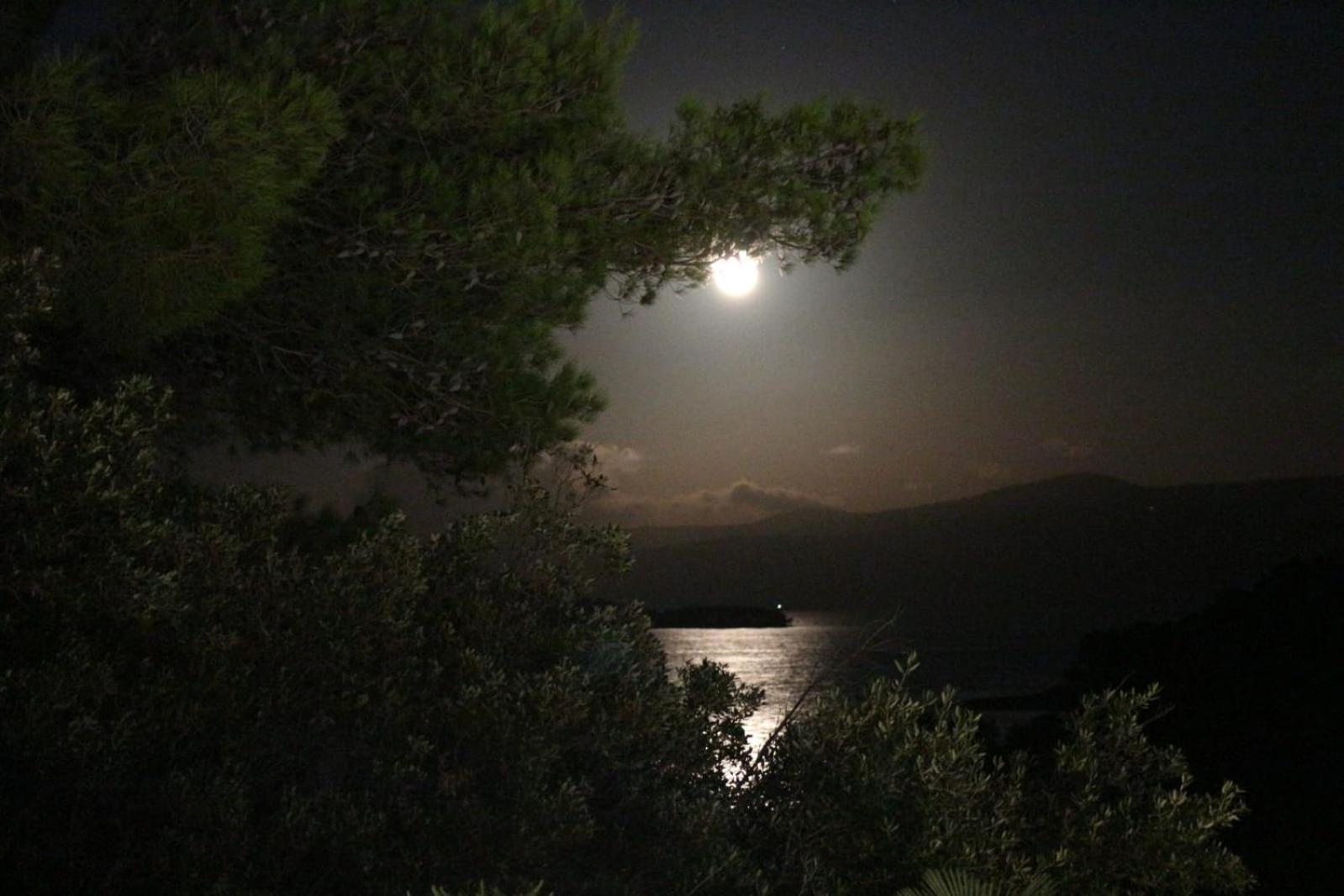 Holiday Hvar Vrbanj Zewnętrze zdjęcie